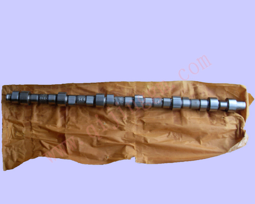 凸轮轴总成D5010550876_东风雷诺DCI11发动机配件