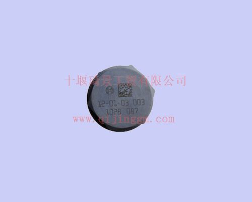 雷诺油轨限压阀C1110010028_东风雷诺发动机配件